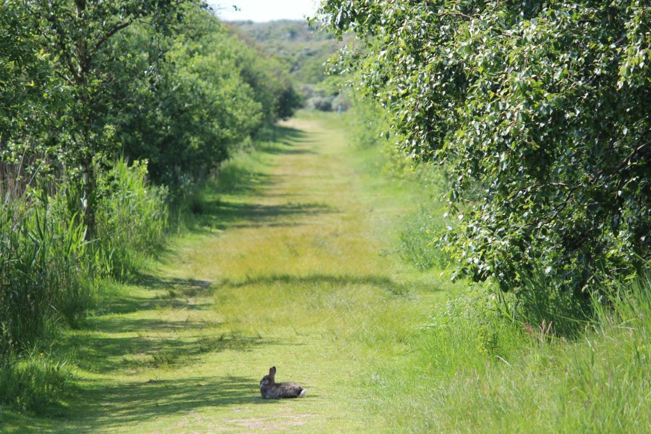 Seevilla Wietjes Whg 7 Baltrum Bagian luar foto